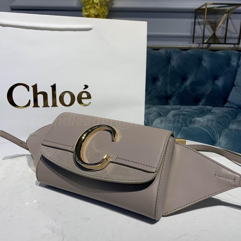 Chloe Handbags 33